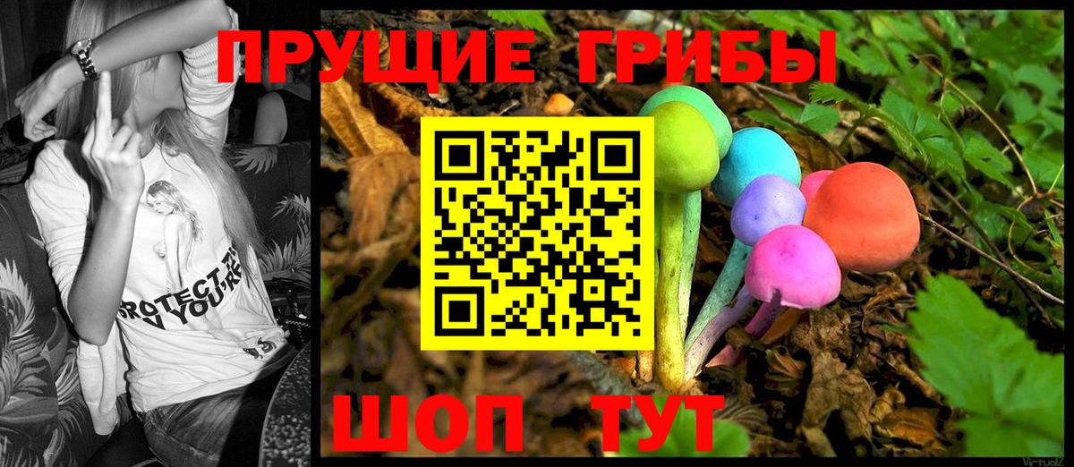 Псилоцибиновые грибы GOLDEN TEACHER Черняховск
