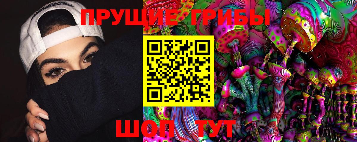 Черняховск  Галлюциногенные грибы Cubensis  Вход с VPN 