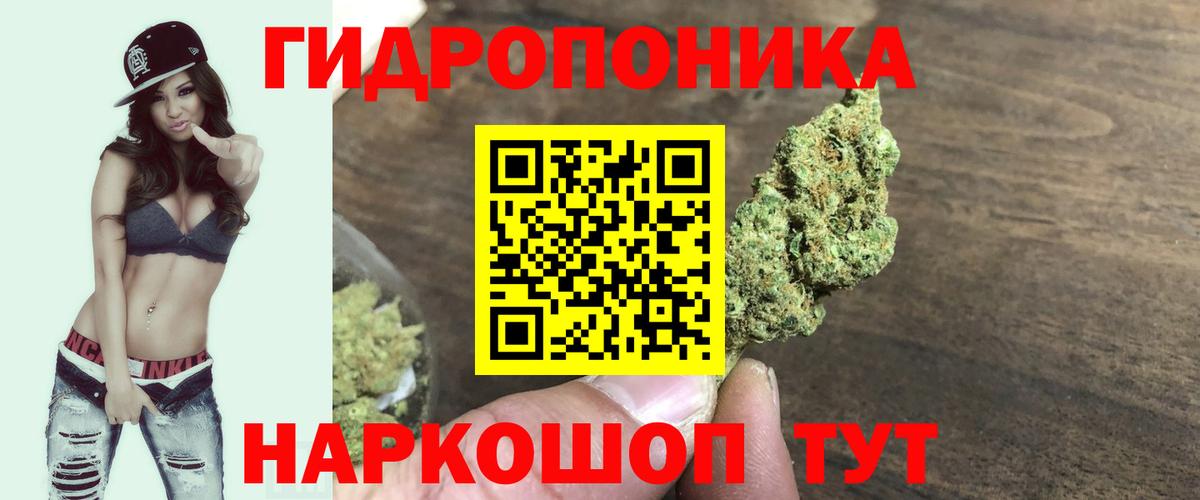 Каннабис план Черняховск